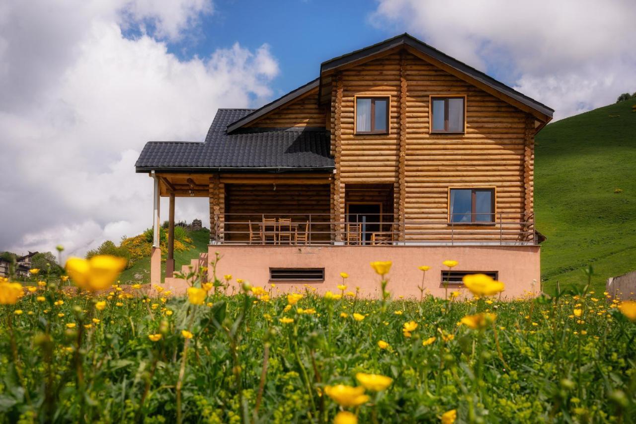 Snow Time Eco Chalet Gudauri Exterior foto